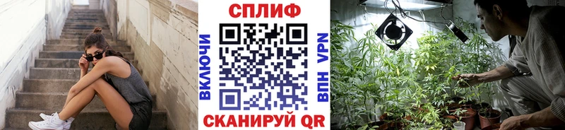 Купить закладки  Лукоянов  Бошки марихуана семена 